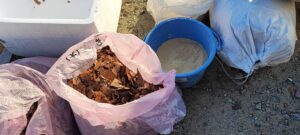 ゴミ袋の中に「落ち葉」と「米ぬか」を入れた様子の写真