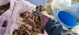 おにぎりテストを実施している様子の写真