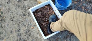 発泡スチロール箱の中に入れた材料を足で踏みつけている様子の写真